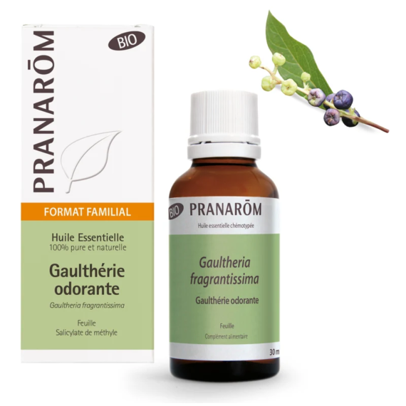 KÚSZÓ FAJDBOGYÓ - GAULTHERIA PROCUMBENS BIO 30 ML